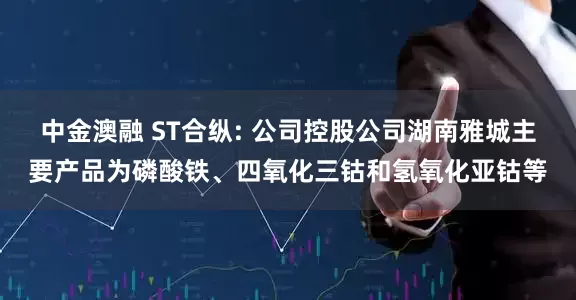 中金澳融 ST合纵: 公司控股公司湖南雅城主要产品为磷酸铁、四氧化三钴和氢氧化亚钴等